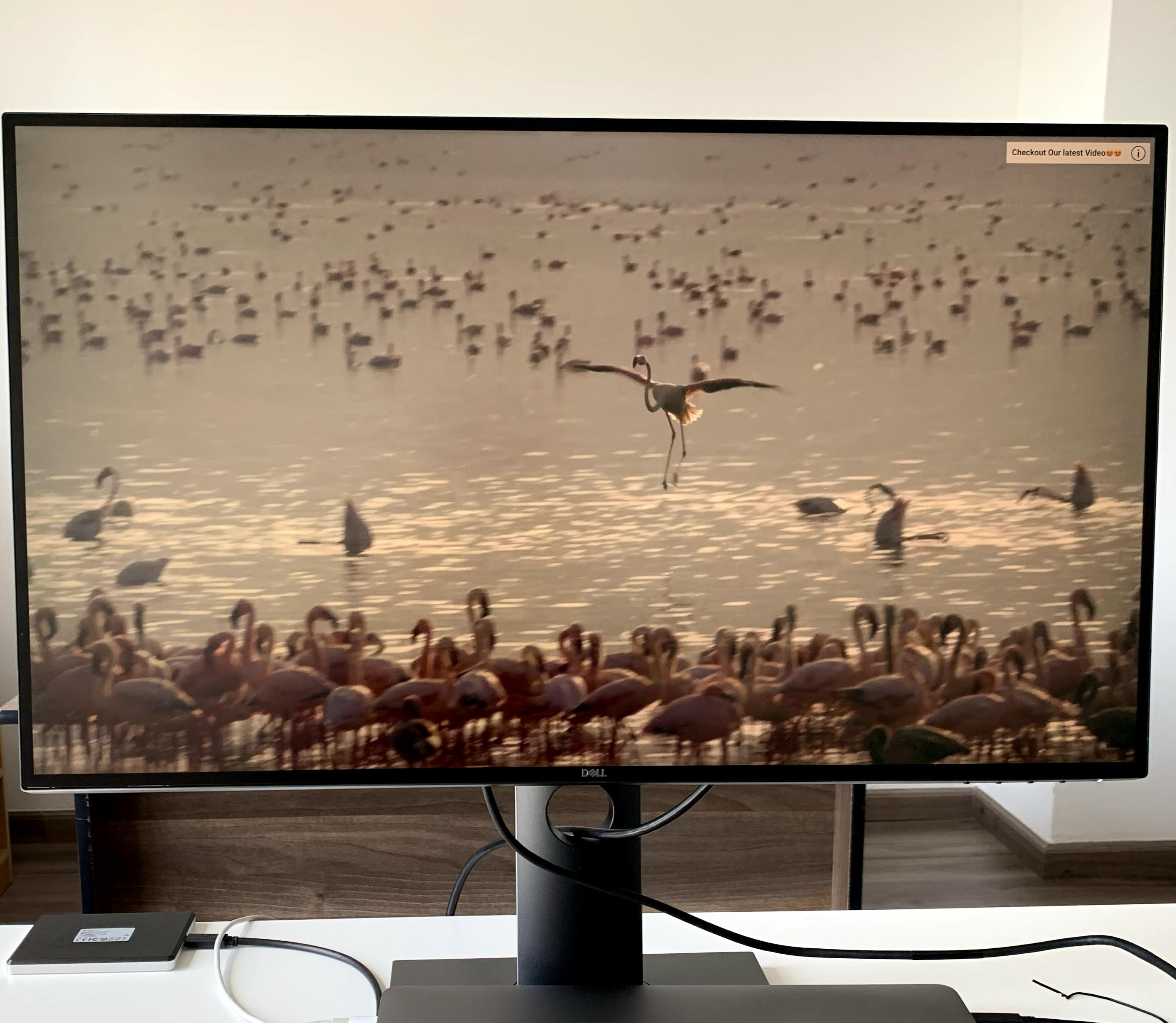 Dell UltraSharp U2720Q 27 Inch 4K UHD (3840 x 2160) LED Backlit LCD IPS USB-C Monitor (7GZ651) — image 2