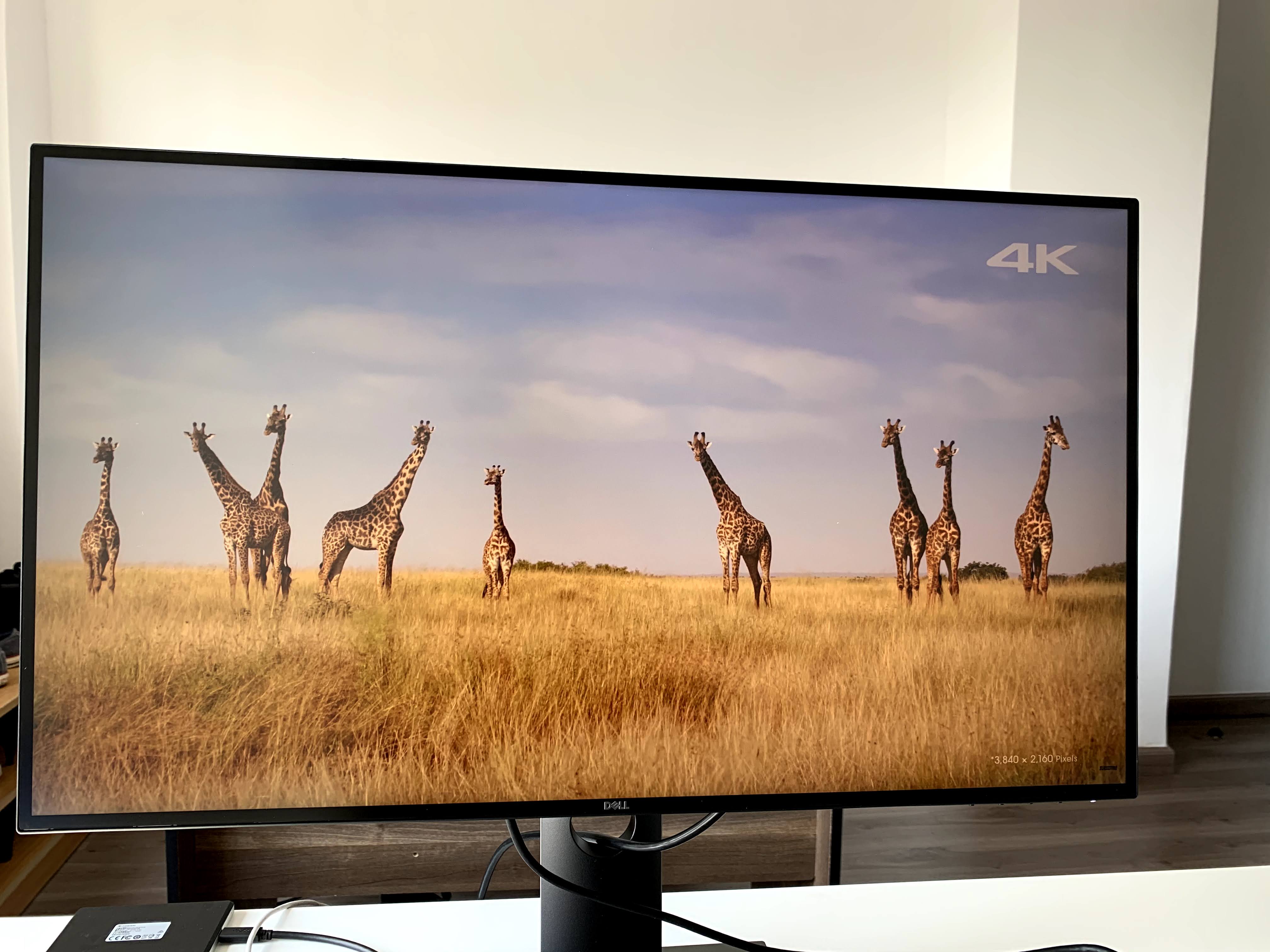 Dell UltraSharp U2720Q 27 Inch 4K UHD (3840 x 2160) LED Backlit LCD IPS USB-C Monitor (7GZ651)