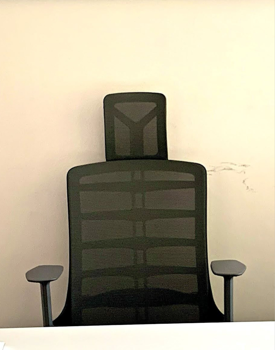 Spinelly Ergonomic Office Chair — image 2