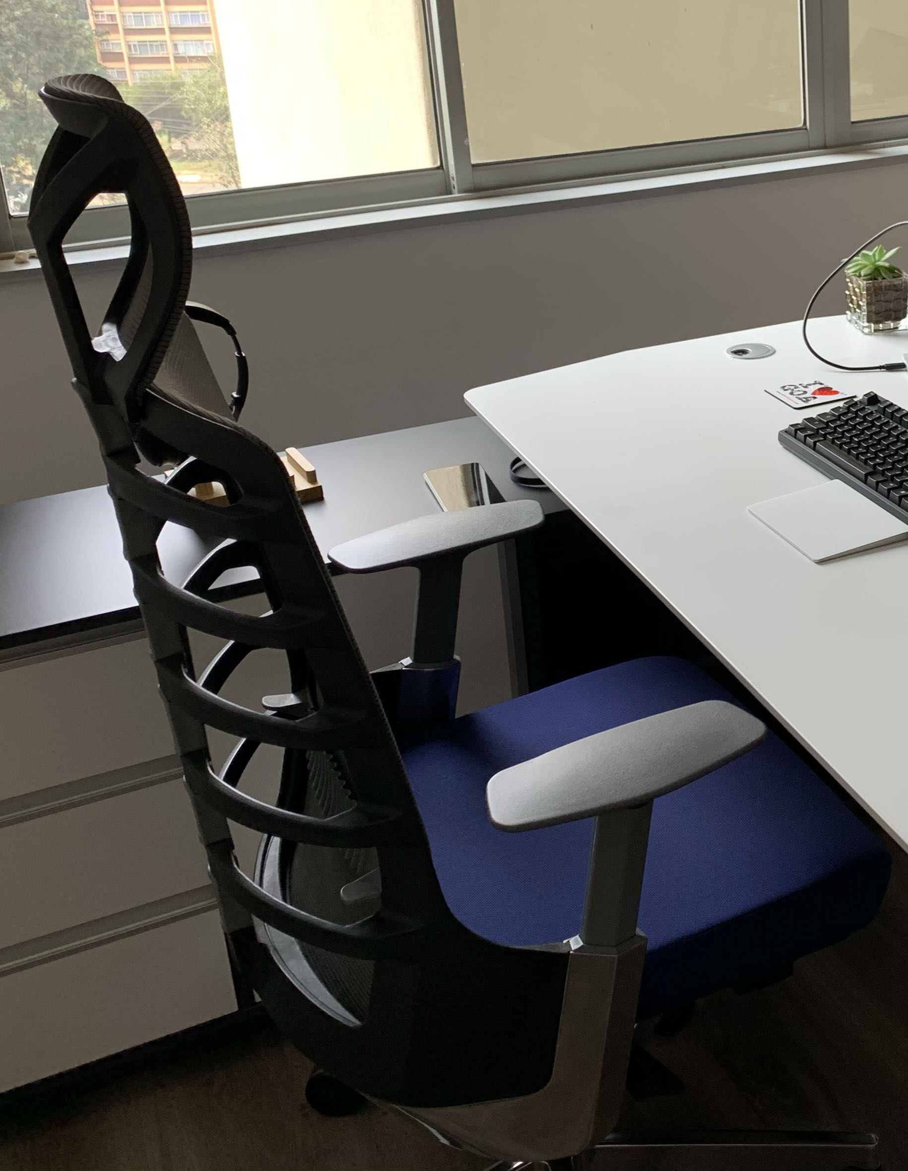 Spinelly Ergonomic Office Chair